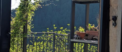 Ein Balkon mit Blumentöpfen, einem Metallgeländer und Blick auf einen bewaldeten Hang.