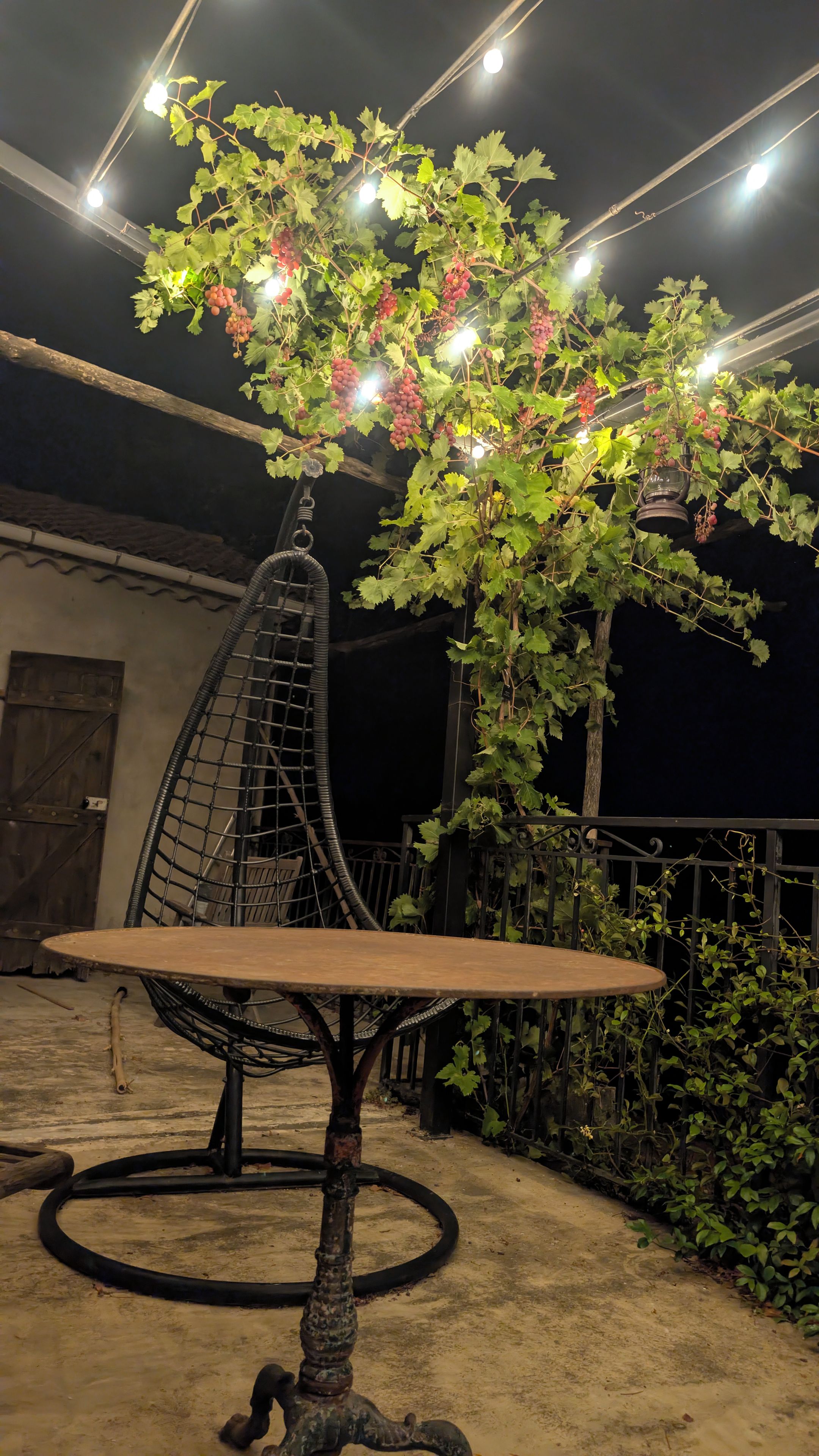 A table with a unique spiral design, surrounded by a garden with grapevines and a metal fence.