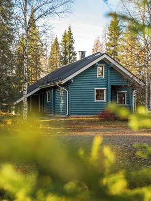 A log cabin with a steep gabled roof, surrounded by trees and a grassy yard.