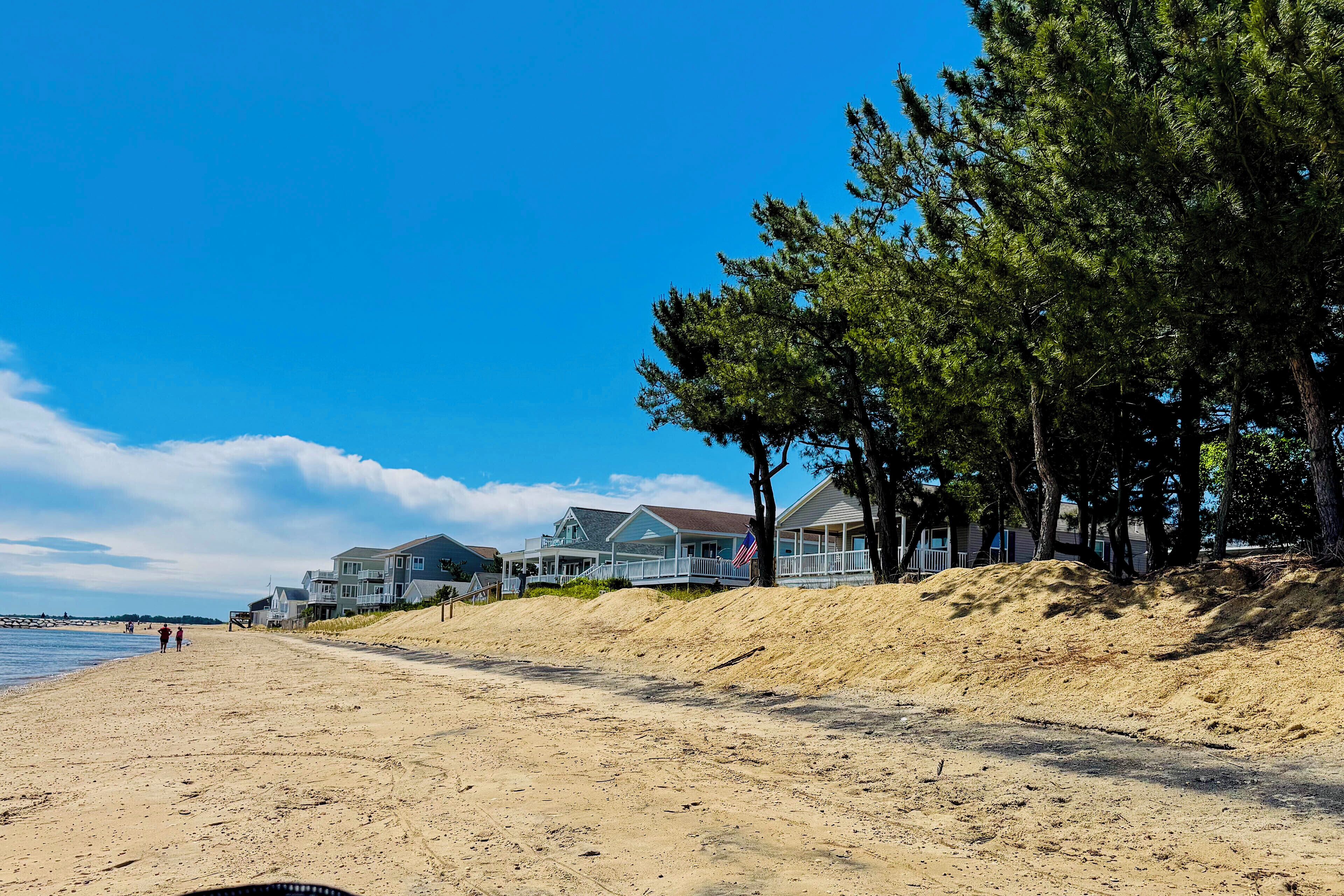 Une plage avec des maisons et des arbres.