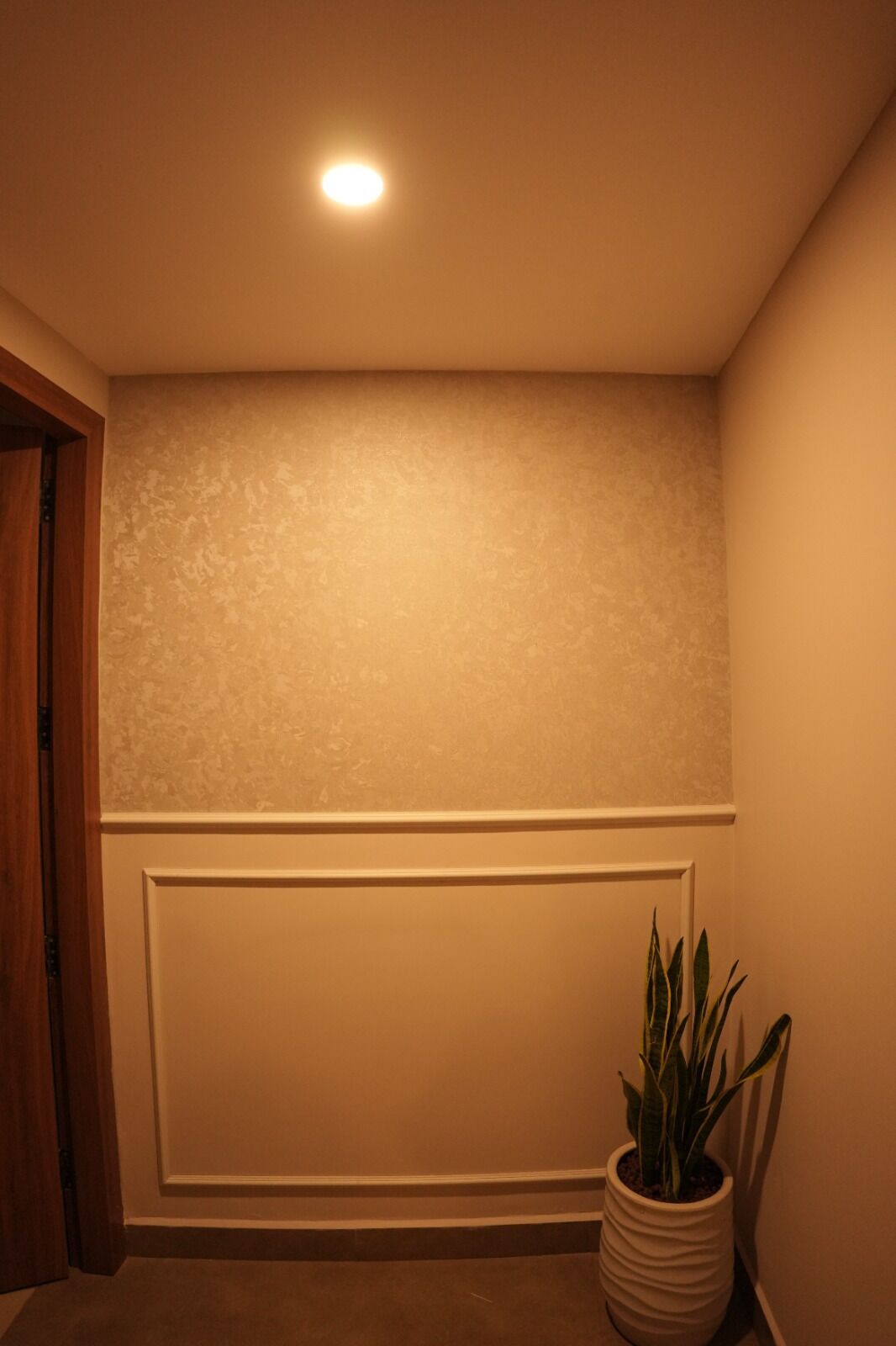 A room with a textured wall, a recessed ceiling light, a white baseboard, and a potted plant.