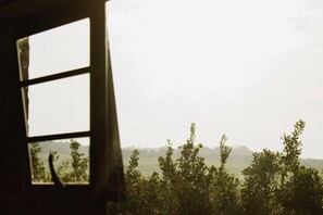Interior - Macadamia nut farm stay (KuGompo City)