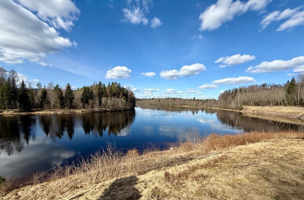 Une rivière paisible, bordée d’arbres des deux côtés, un ciel dégagé, et aucun bâtiment ni personne visible.