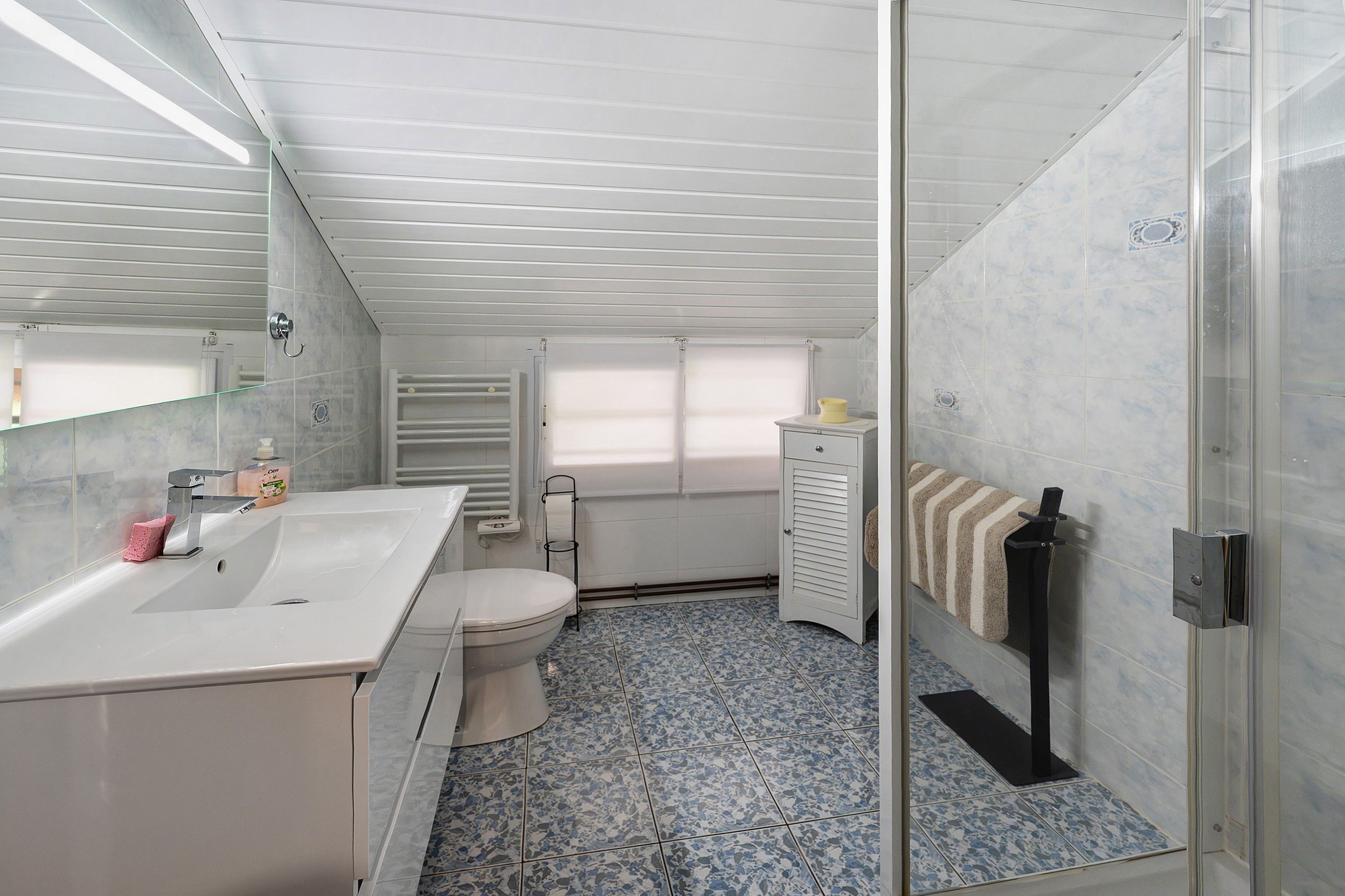 Une salle de bain avec douche, toilettes et lavabo.
