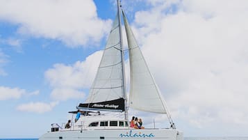 A sailboat with the name 'Nina' on its side, sailing on the water.