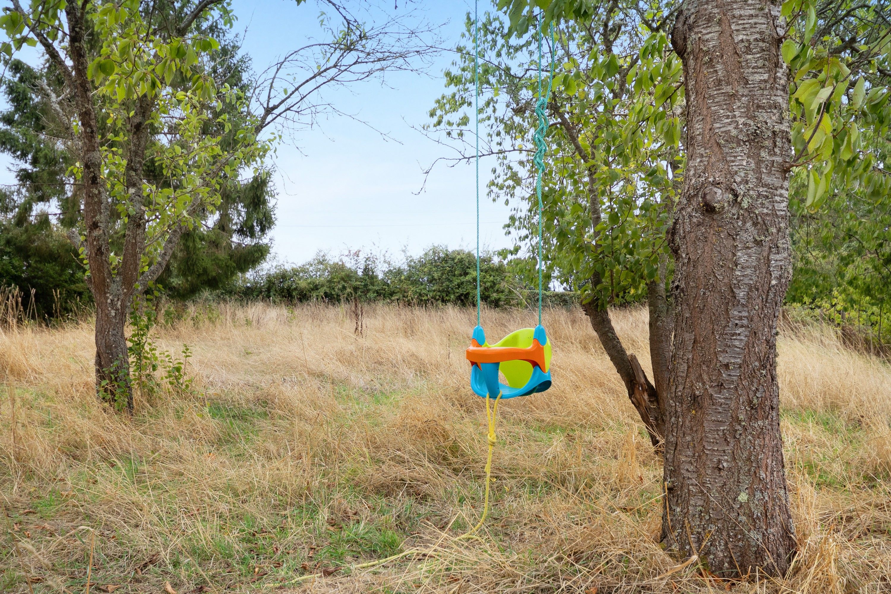 Una hamaca colgada de un árbol en un campo cubierto de hierba.