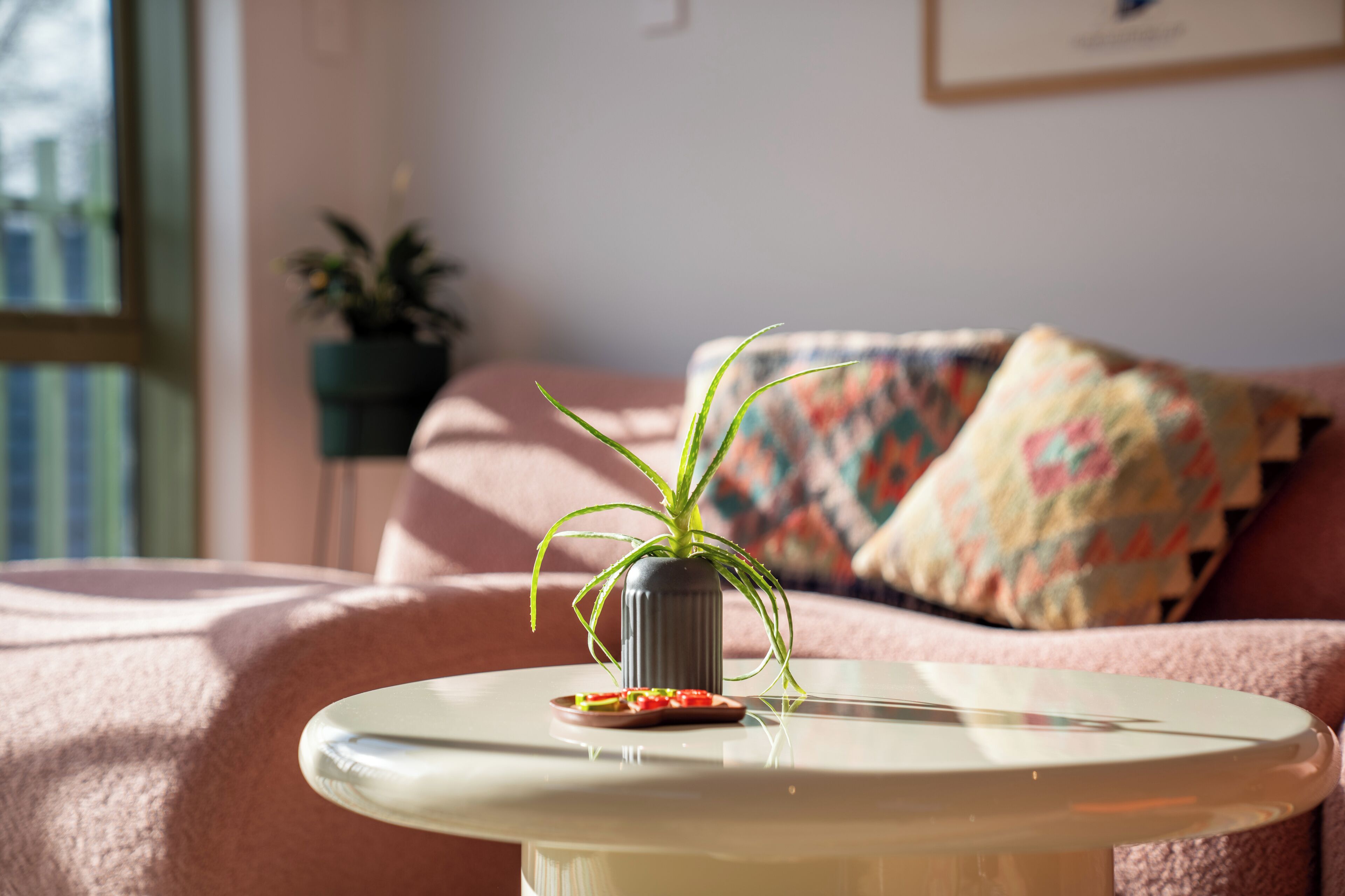Een ronde tafel met een plant en een bord eten op de voorgrond, een bank met een kleurrijk kussen op de achtergrond, en een potplant op een standaard.