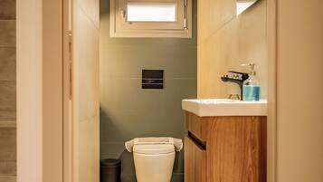 A narrow hallway leading to a bathroom with a toilet, a trash bin, and a wooden vanity with a mirror.