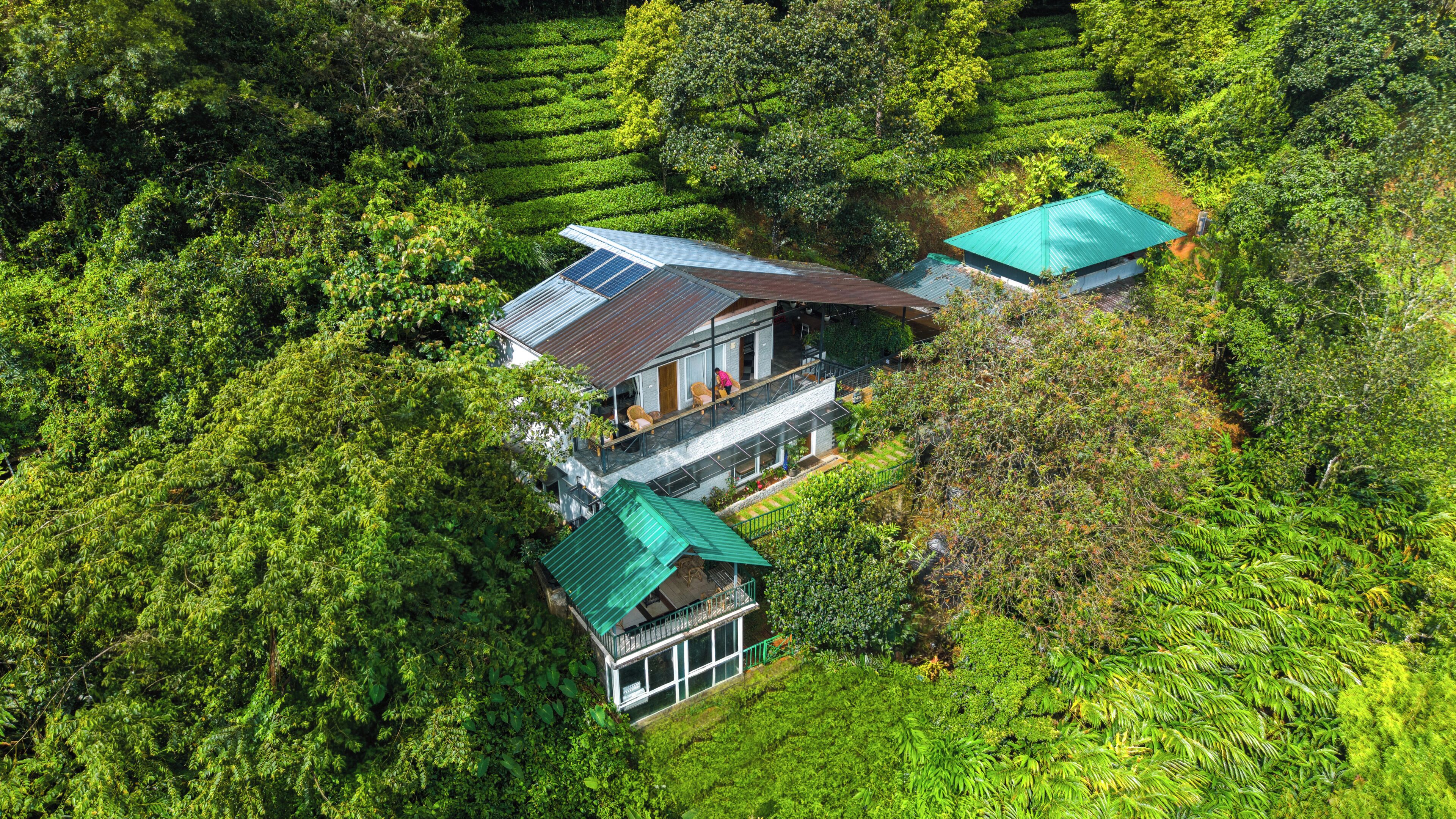 A two-story house with a green roof, surrounded by lush greenery and terraced fields.
