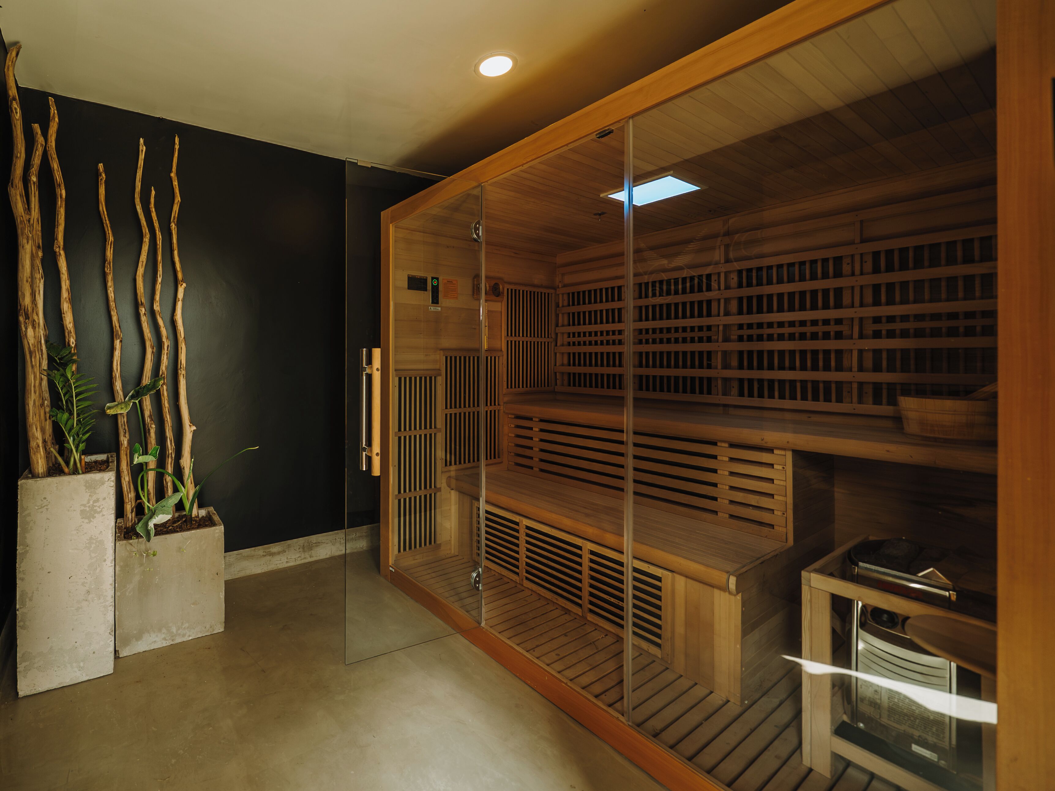 Eine Sauna mit Holzbänken, einer Glastür und einem Betonkübel mit Pflanzen.