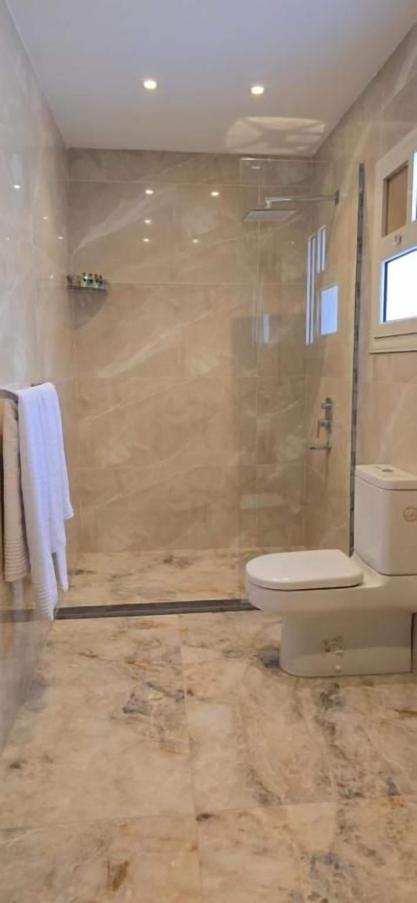 A bathroom with a glass-enclosed shower, a toilet, and a marble floor.