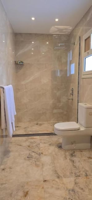 Un baño con ducha de vidrio, inodoro y suelo de mármol.