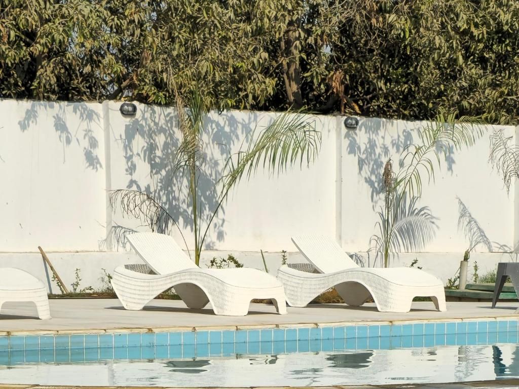 Un área junto a la piscina con sillas reclinables blancas y una piscina con azulejos.