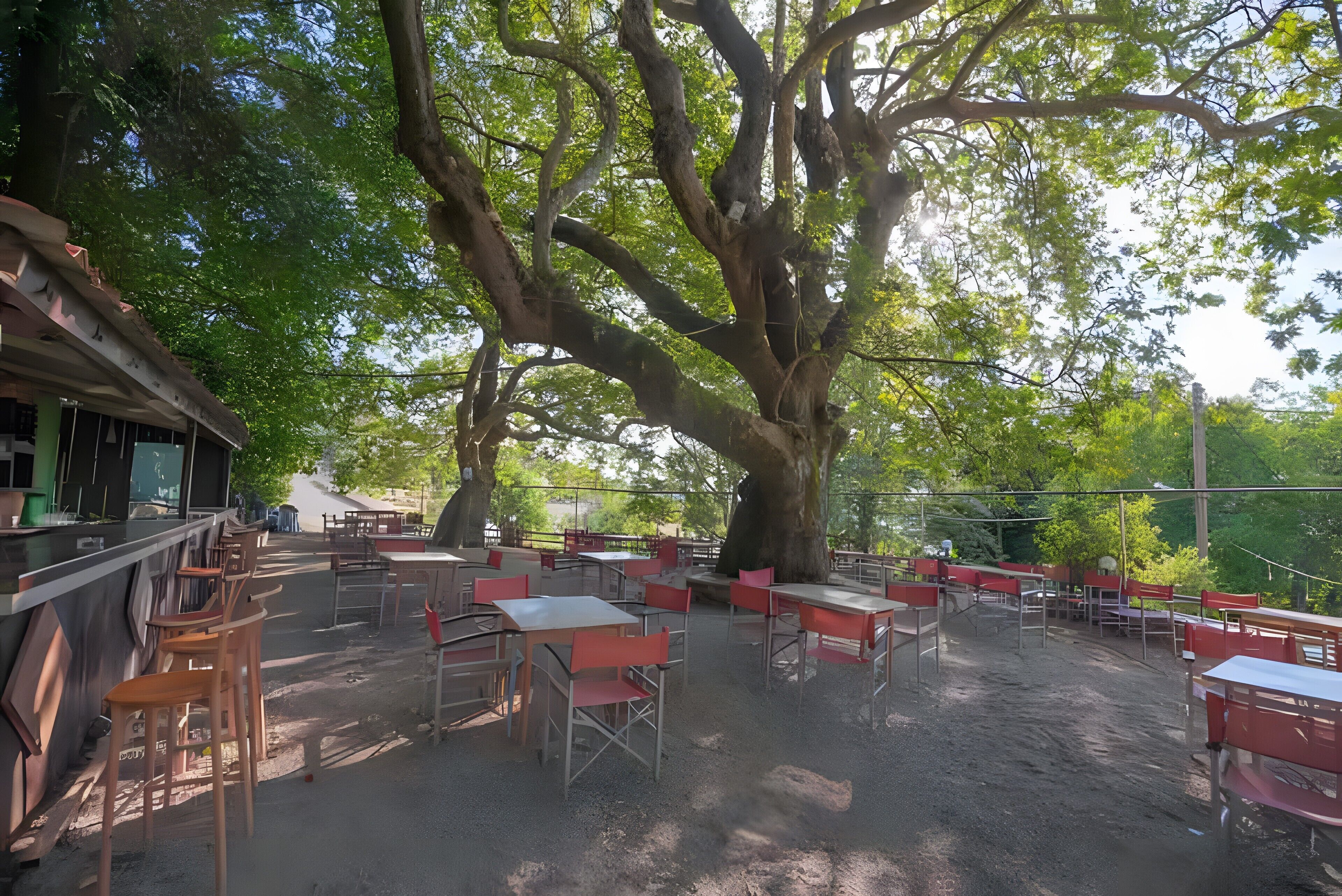 An outdoor seating area with tables and chairs under a large tree.