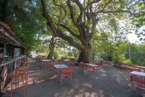 Een buitenruimte met tafels en stoelen onder een grote boom.