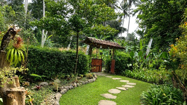 A garden pathway with stepping stones leading to a wooden structure.