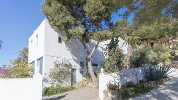 A white building with a stone wall and a tree in front.