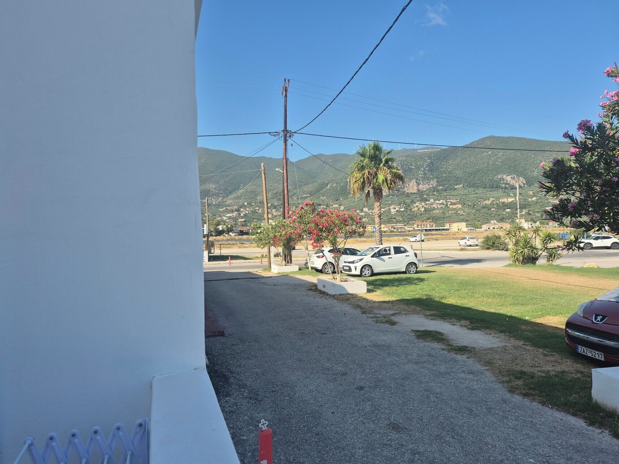 A parking area with cars, a palm tree, and a mountain in the background.