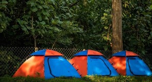 Basic Tent | Property grounds - Dandeli Wild River Resort (Dandeli)