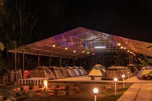 Ảnh chưa phân loại, 2 trong số 10 ảnh, nút