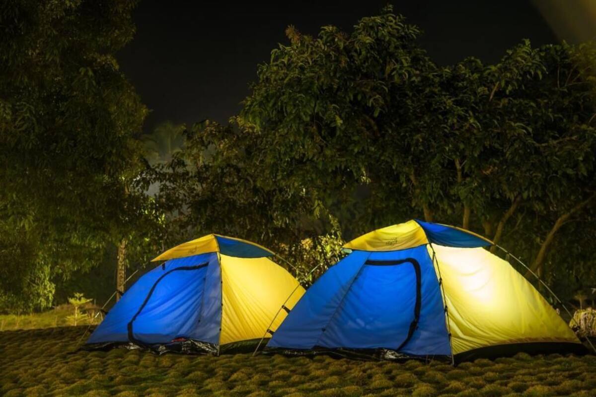 Basic Tent | Miscellaneous