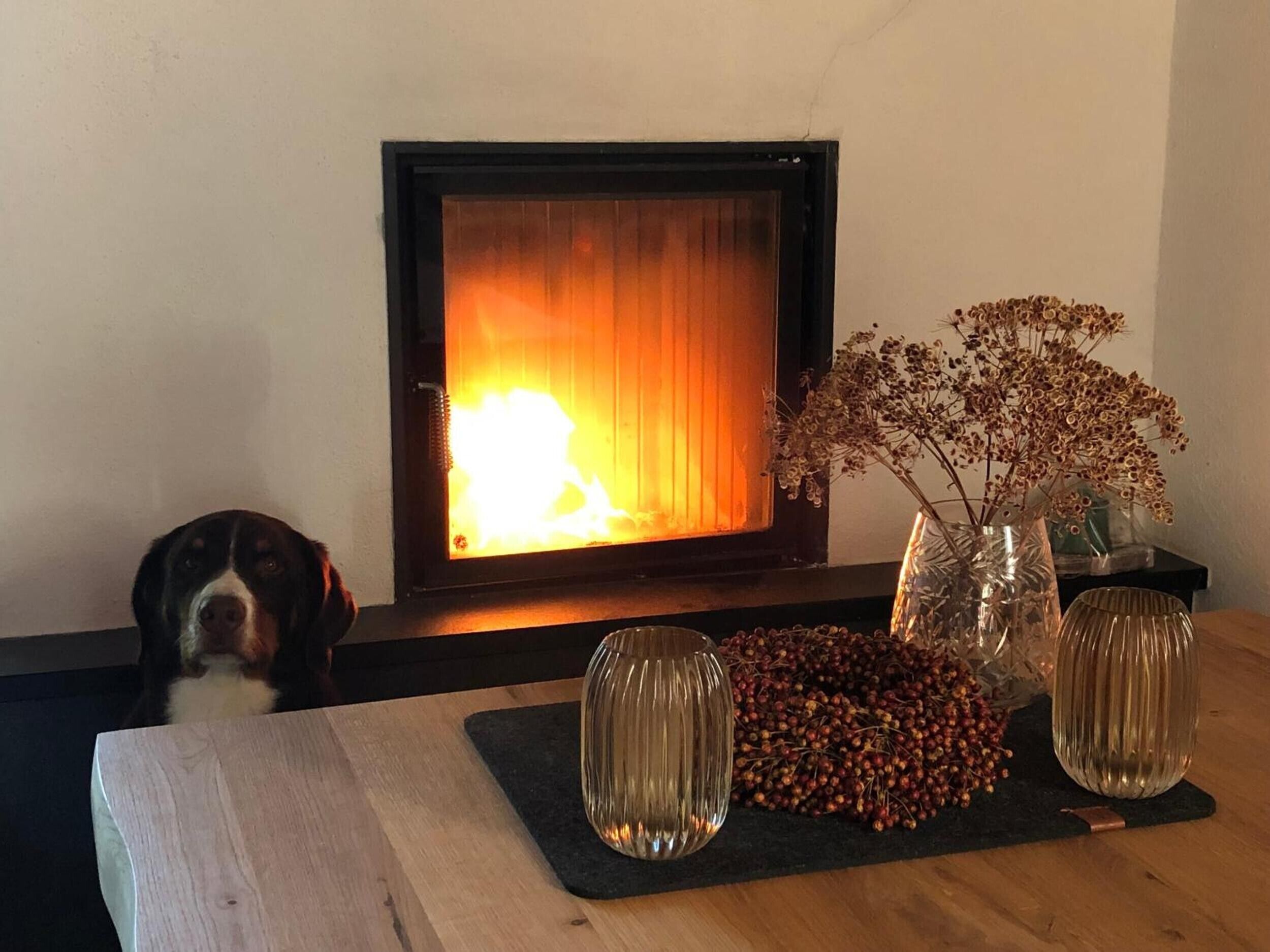 A fireplace with a dog looking at it, a vase with dried flowers, and a wooden table with a placemat.