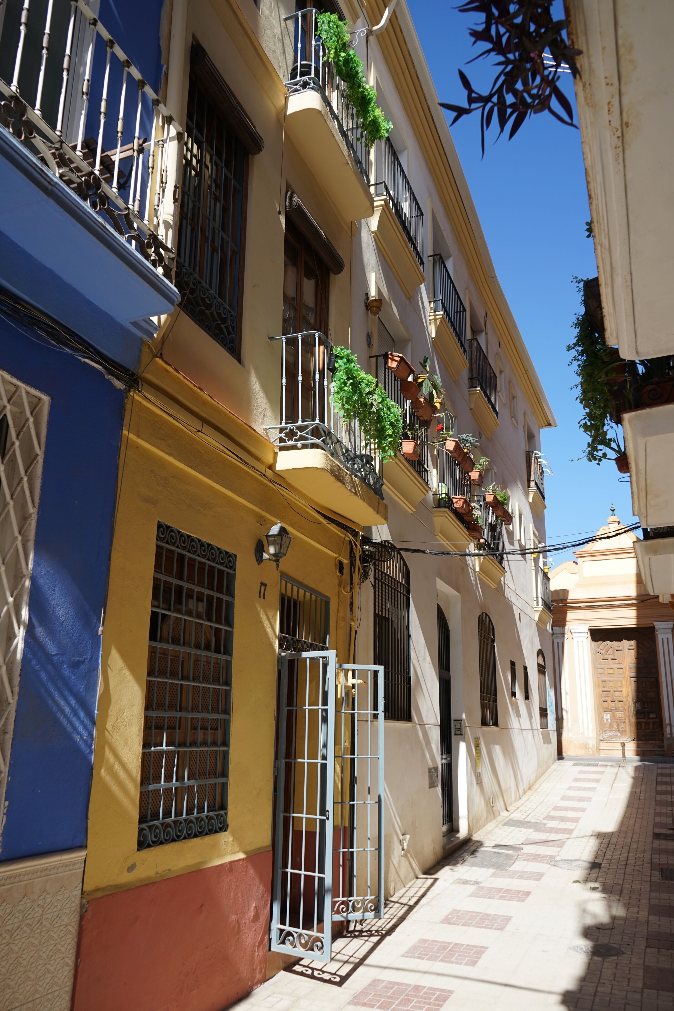 A narrow street with buildings featuring balconies with potted plants, a blue and yellow facade, and a tiled pavement.