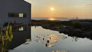 Ein modernes Gebäude mit Wasserspiegel und Seerosenblättern.