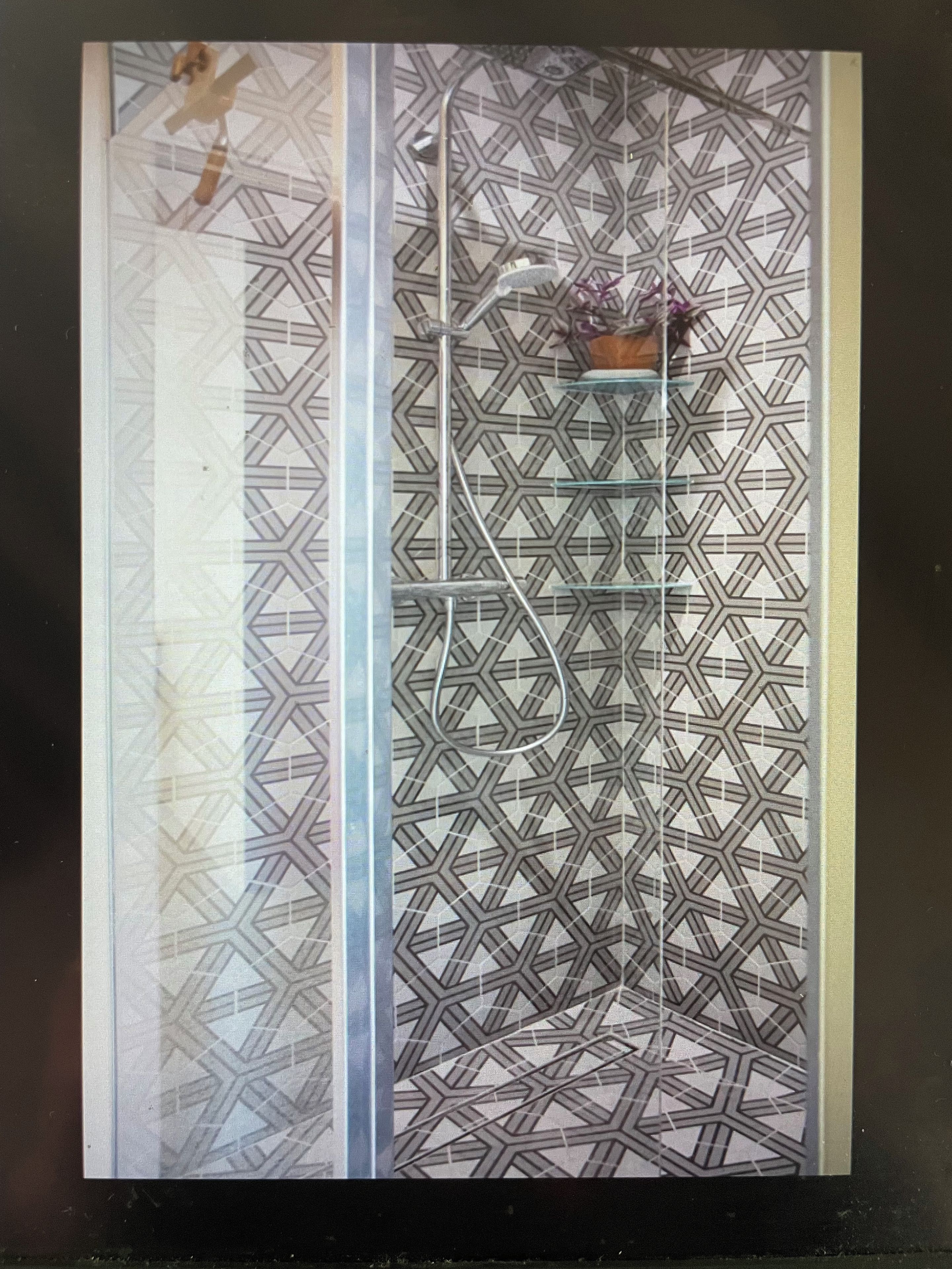 Ein Zimmer mit einer Wand mit geometrischem Muster, einer Duschkabine mit hängendem Handtuchhalter und einem kleinen Regal mit einer Pflanze.