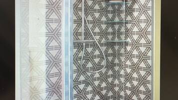 Ein Zimmer mit einer Wand mit geometrischem Muster, einer Duschkabine mit hängendem Handtuchhalter und einem kleinen Regal mit einer Pflanze.