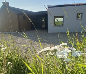 A modern building with a gravel driveway and a grassy foreground. - Áit: Bespoke Castle-Side Hideaway with Sedum Roof (CE)