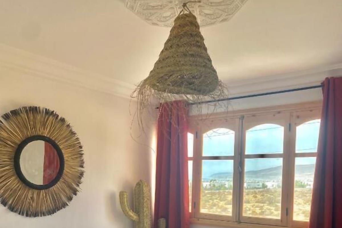 A bedroom with a bed, a large window, and a cactus decoration.