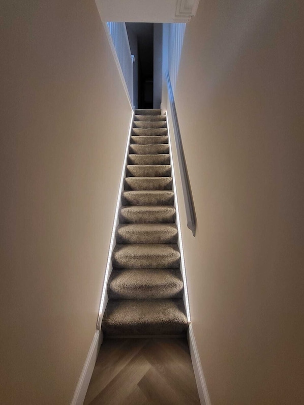 A carpeted staircase with a handrail, leading to a dark interior space.
