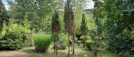 A natural landscape with various trees and shrubs, a grassy area, and a clear sky.