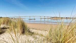 Ein Strand mit einem hölzernen Steg, der sich in ruhiges Wasser erstreckt, umgeben von Sand und hohem Gras.