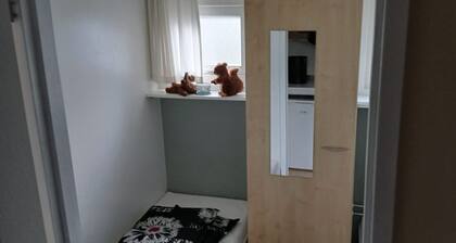 Chalet LUSH | Sfeervol chalet op park met zwembad | Spier, Drenthe