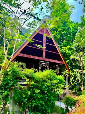 A triangular structure with a dark roof, surrounded by dense green foliage.
