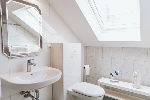 A modern bathroom with a skylight, a sink, a toilet, and a shelf with toiletries.