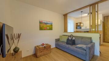 Fernseher