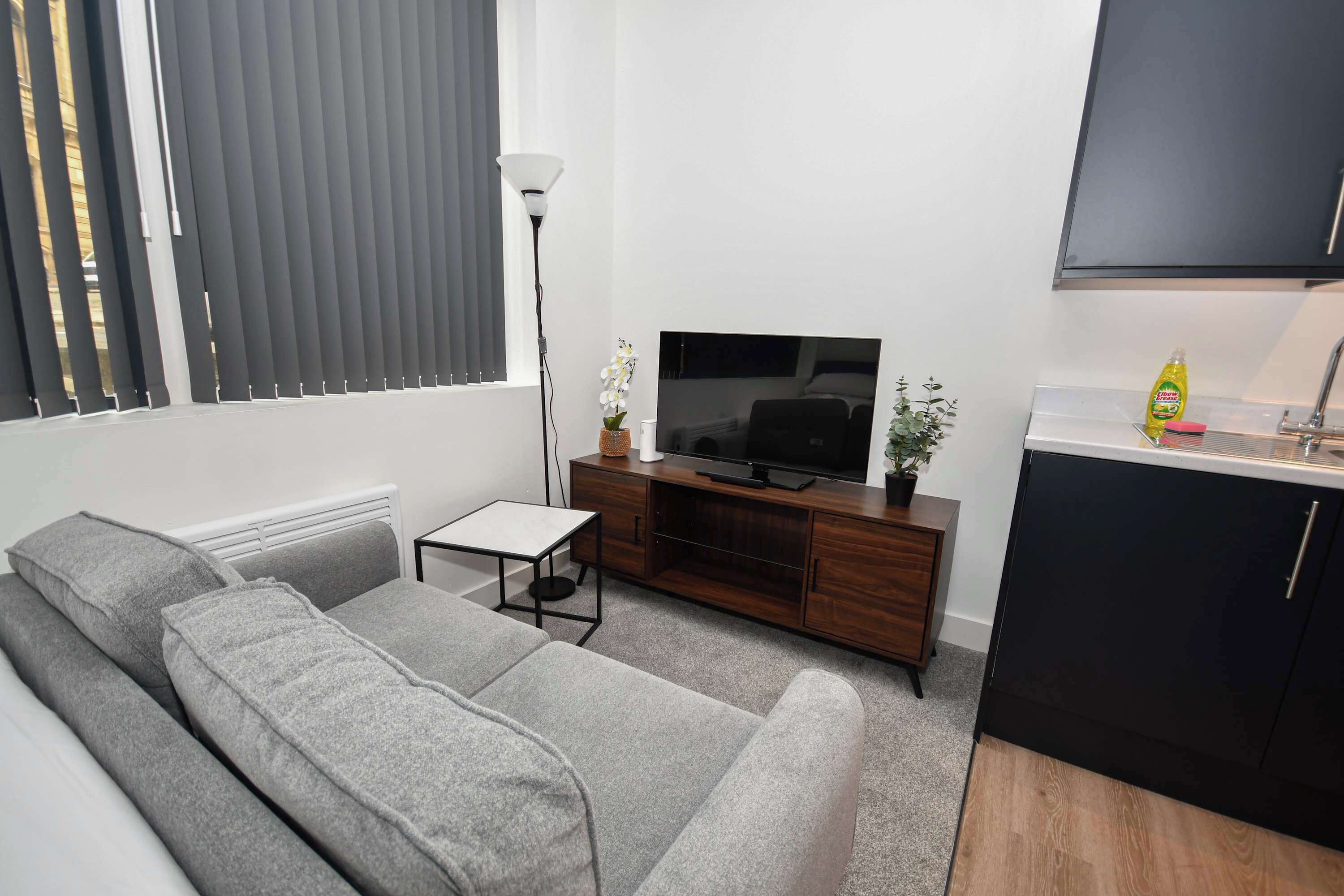 Una sala de estar moderna con un sofá gris, un televisor de pantalla plana sobre un mueble de madera, una mesita y una planta en maceta.