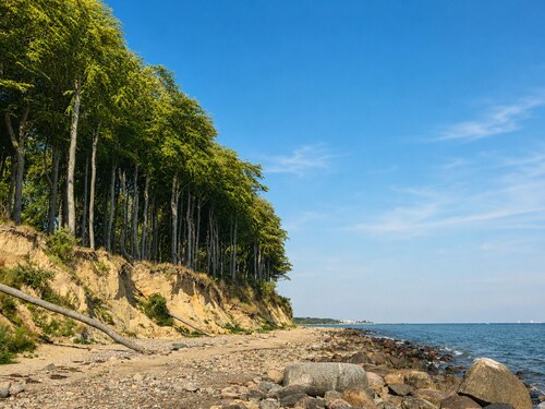 A Farm by the Sea