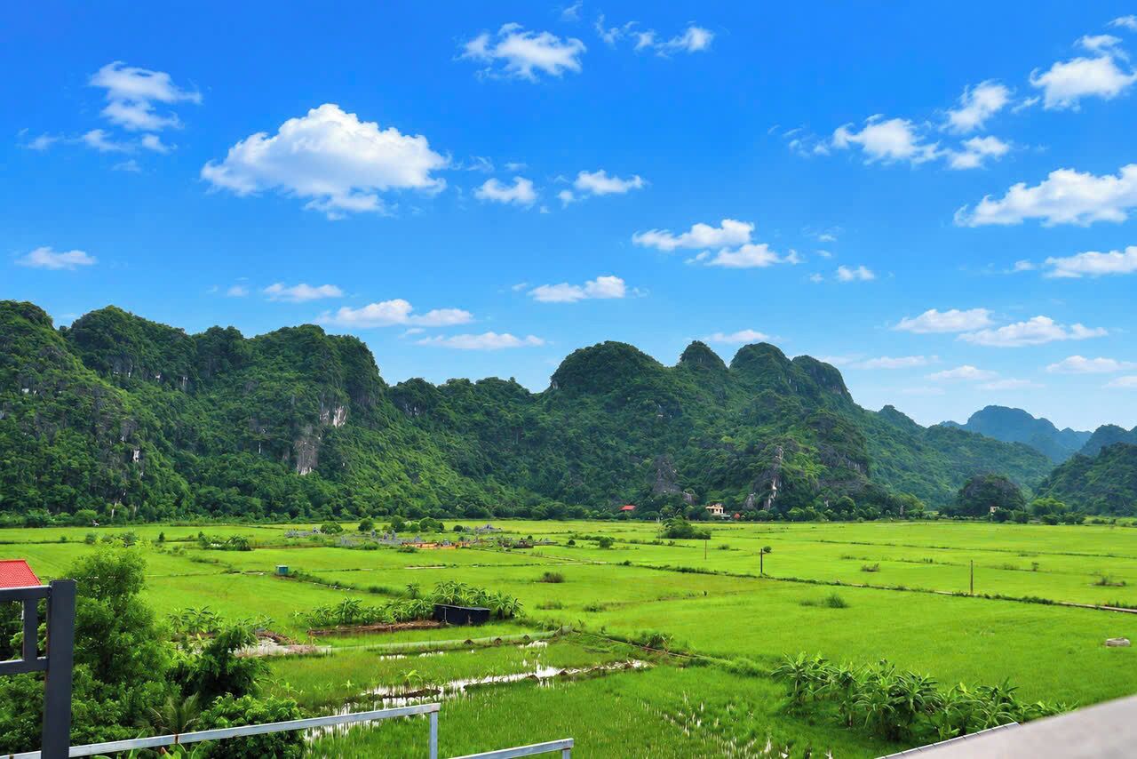 A lush green landscape with terraced fields and a mountainous backdrop.