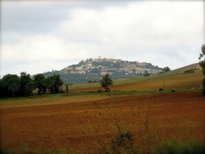Double Room, 1 Queen Bed, Air conditioning, Garden View | Miscellaneous - Dimora Giuditta (Montiano)