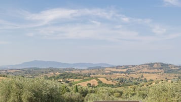 A view of a rural landscape with rolling hills and a clear sky.