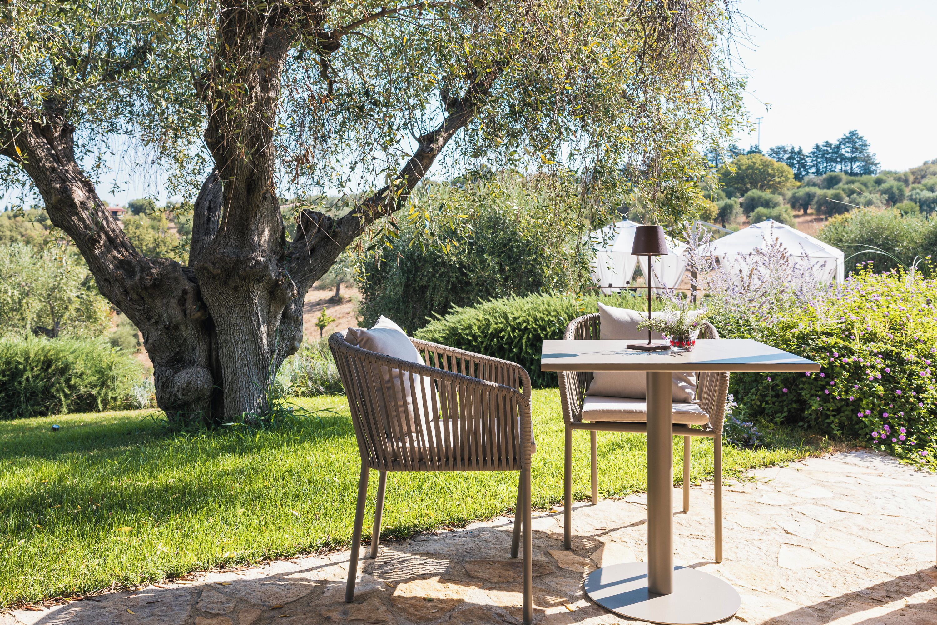 Un espace extérieur aménagé avec une table et des chaises, une lampe et un grand arbre.