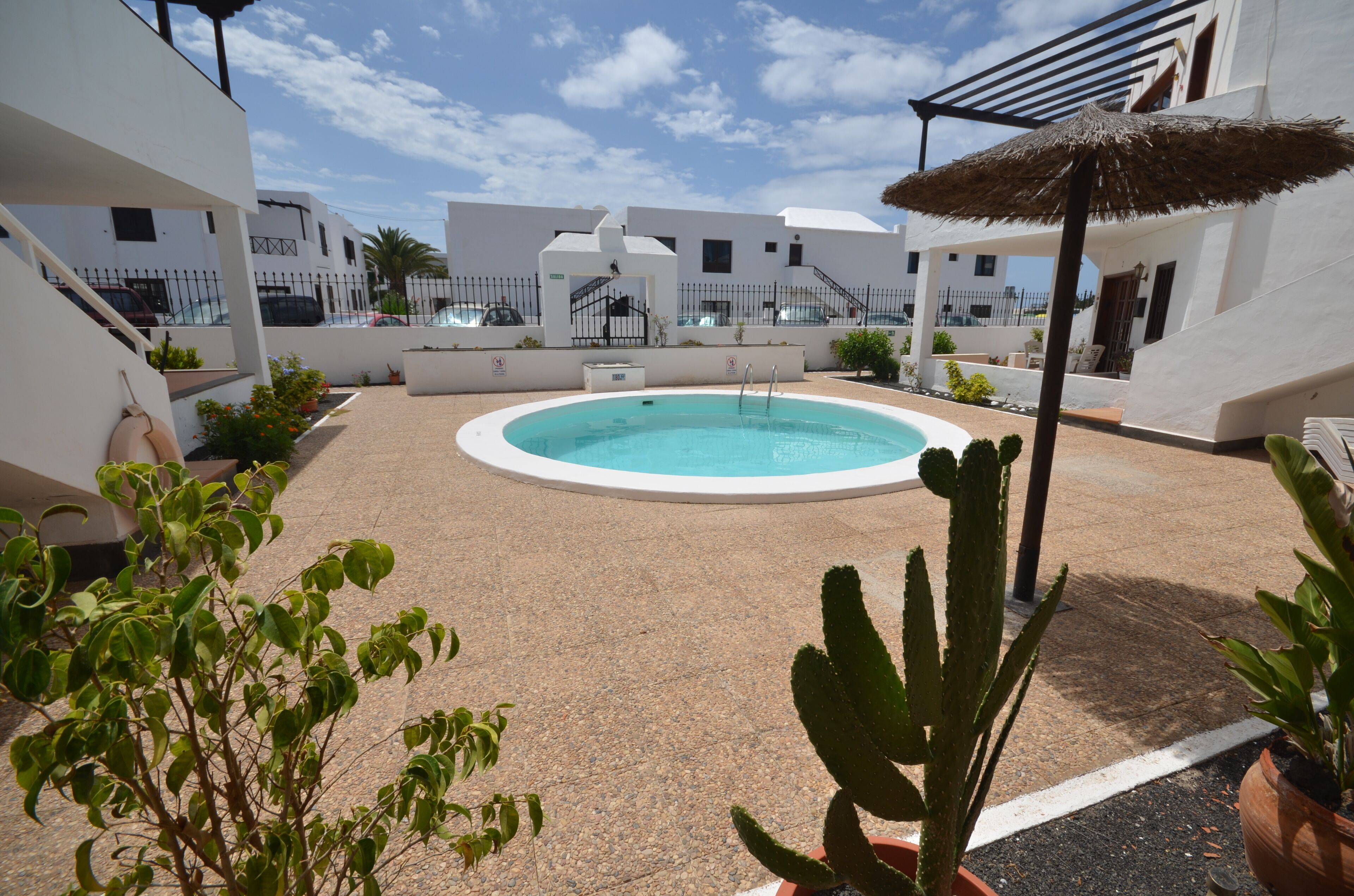 A rooftop pool area with a clear blue pool, surrounded by potted plants and a cactus.