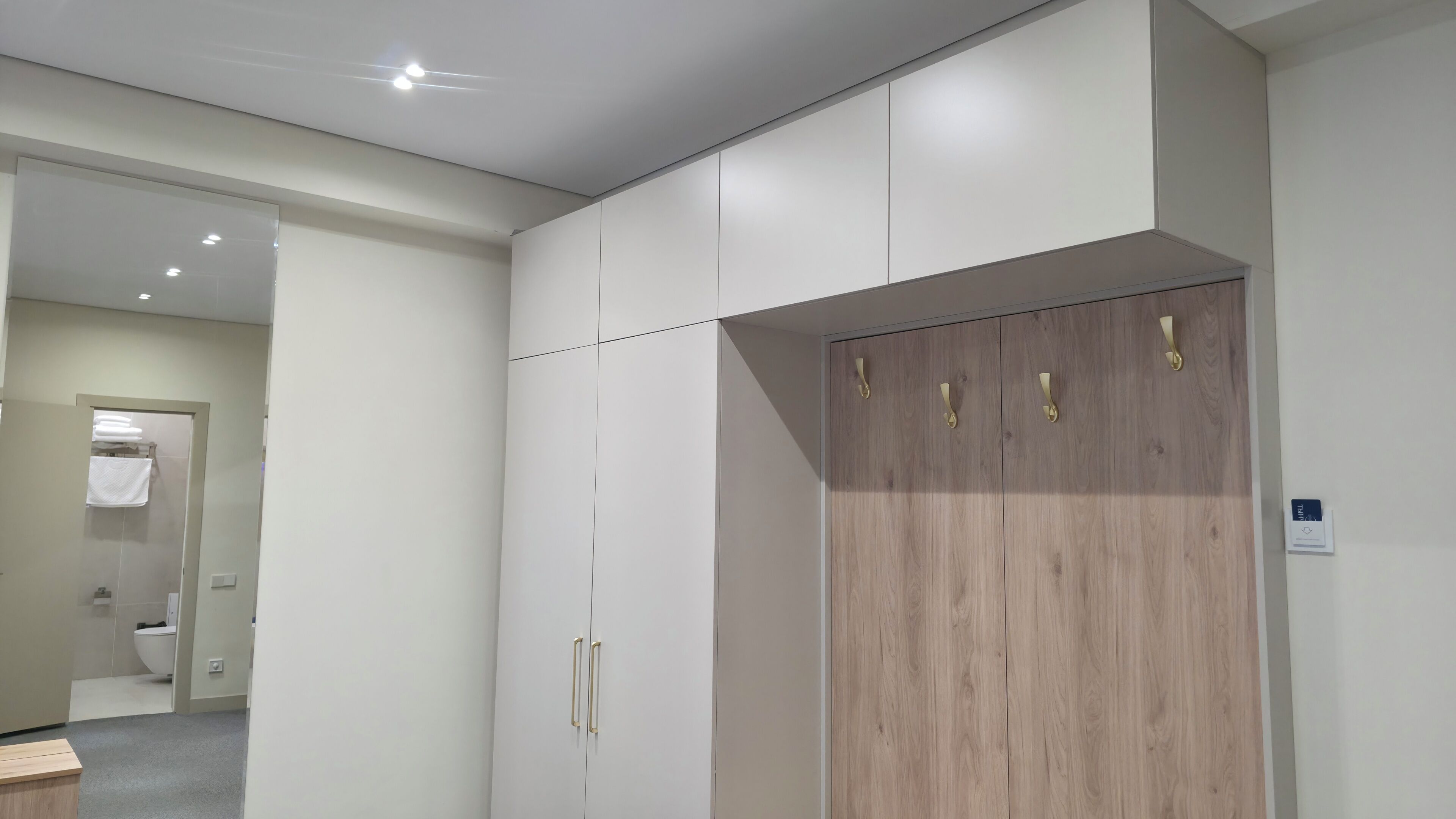 A hotel room with a wardrobe, a wooden door, and a towel rack.