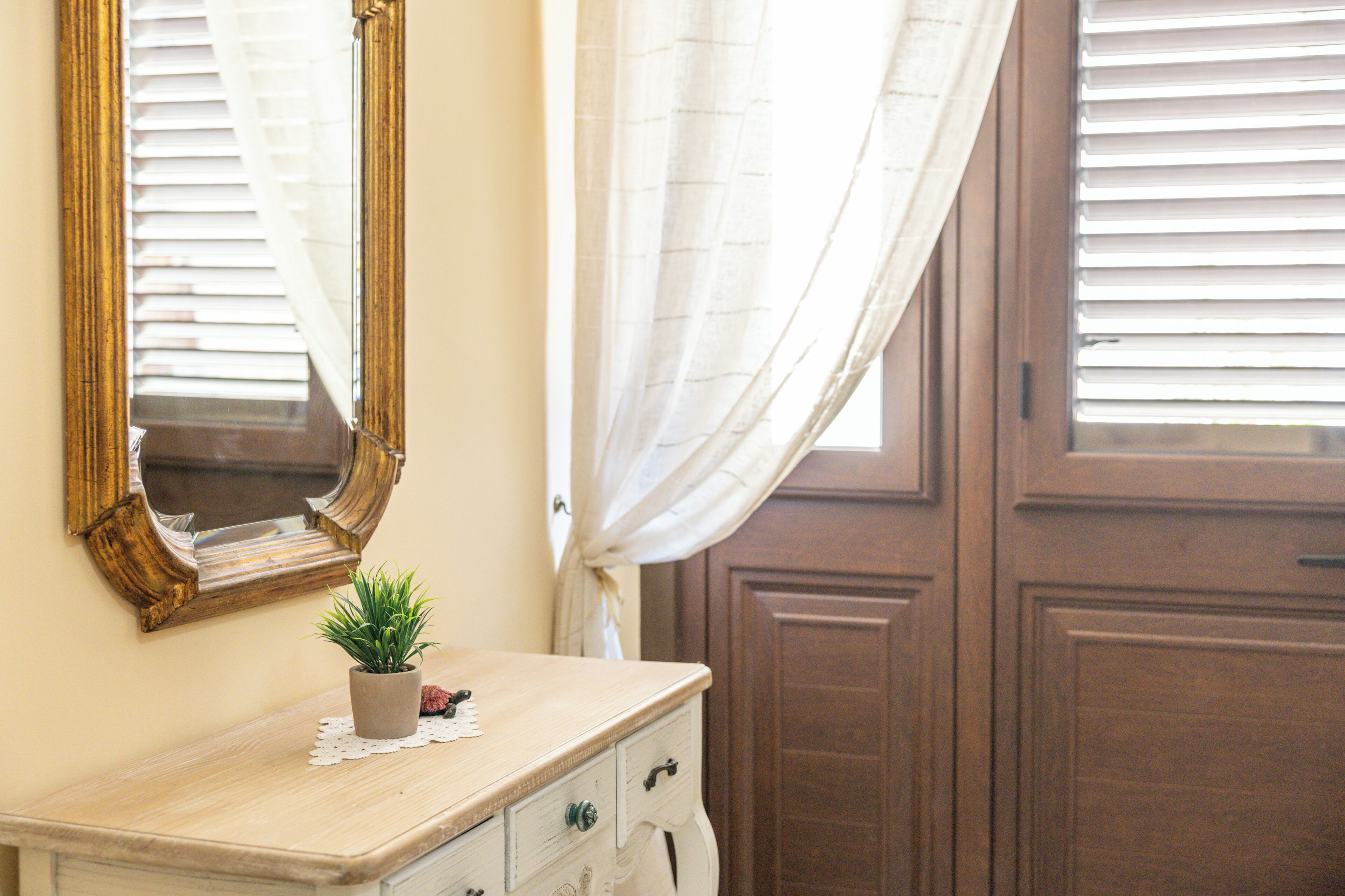 A room with a wooden dresser, a mirror, a potted plant, and a door with a window.