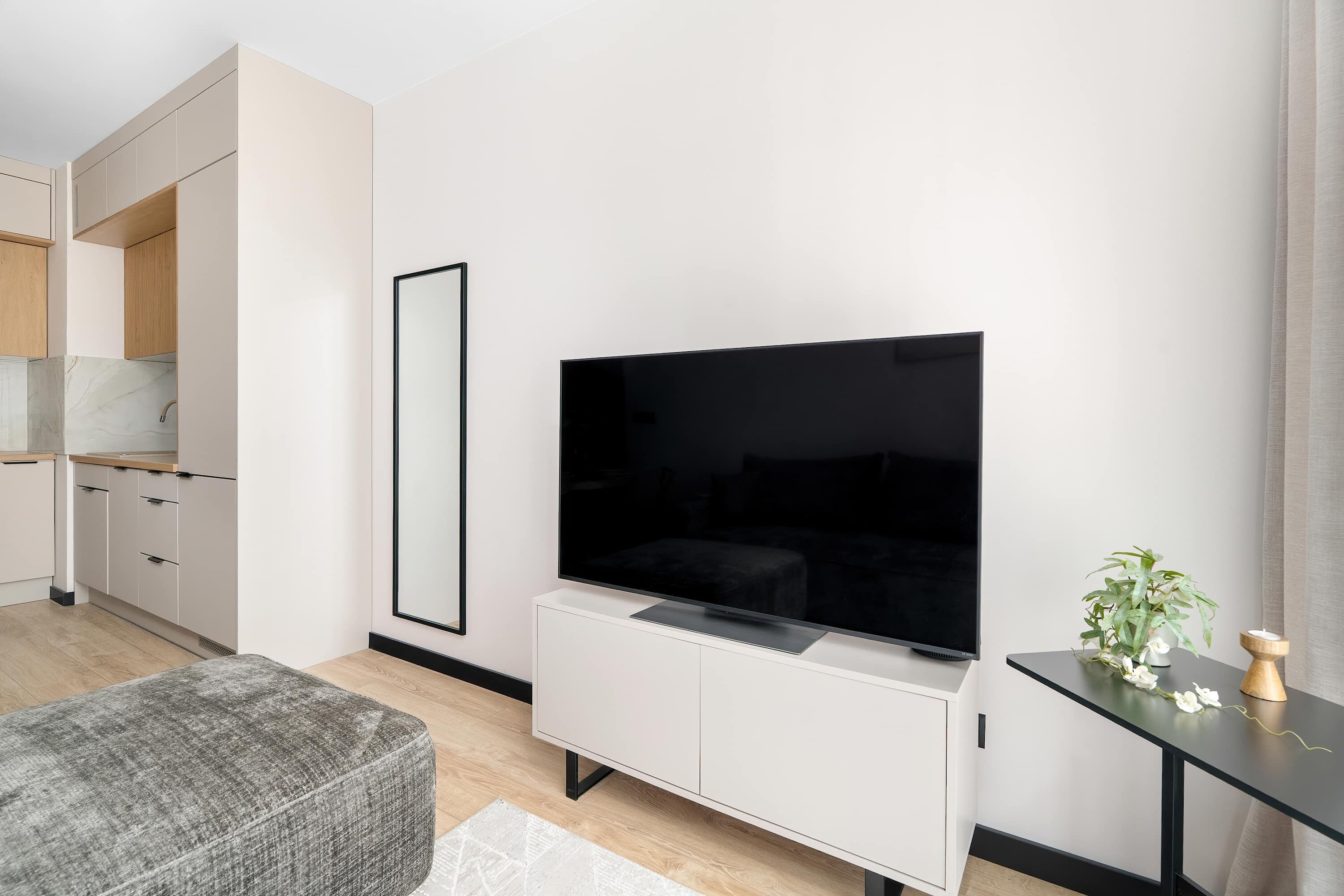 A modern living room with a flat-screen TV, a sofa, a dining area with cabinets, and a small table with a plant.