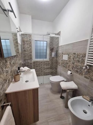 Dusche, Haartrockner, Bidet, Handtücher